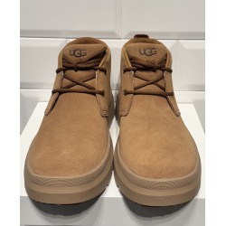 Botines Burleigh Chestnut UGG