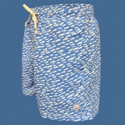 Bañador hombre Eolo peces fondo celeste | Estilo marino y frescura