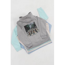 Sudadera Gris Abbey Road Blue Blue Chihuahua | Moda Casual Mascotas