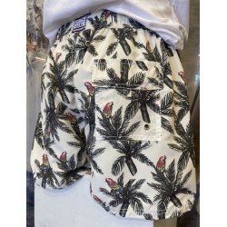 Bañador Hombre Tropical con Loros y Palmeras | Eolo Swimwear